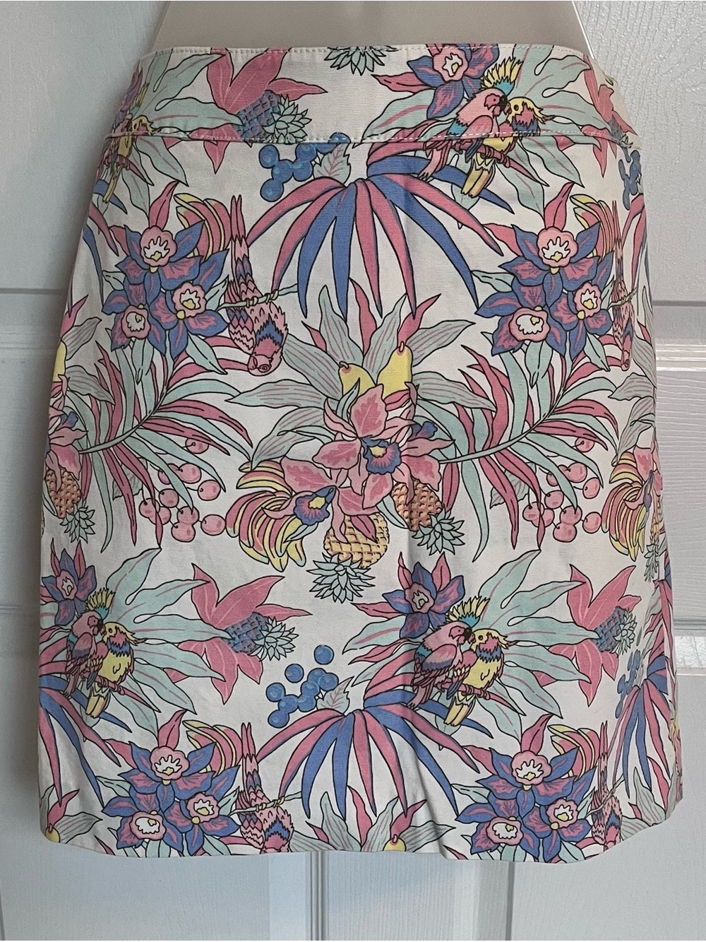 Talbots Petite Tropical Parrot Pineapple Canvas A-Line Skirt 2P